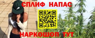 шишки Кунгур