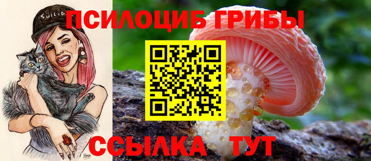 Унеча  Галлюциногенные грибы MAGIC MUSHROOMS  Вход с VPN 